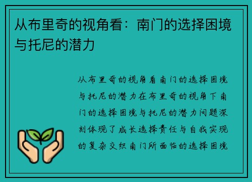从布里奇的视角看：南门的选择困境与托尼的潜力
