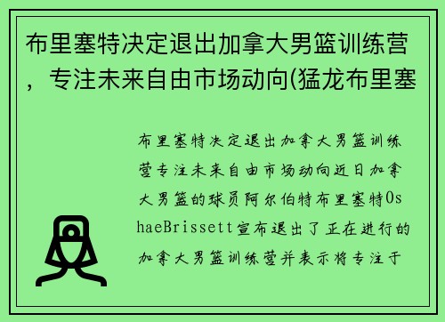 布里塞特决定退出加拿大男篮训练营，专注未来自由市场动向(猛龙布里塞特)