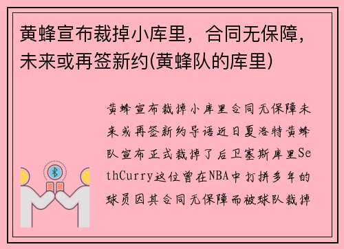 黄蜂宣布裁掉小库里，合同无保障，未来或再签新约(黄蜂队的库里)