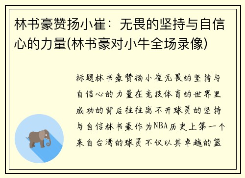 林书豪赞扬小崔：无畏的坚持与自信心的力量(林书豪对小牛全场录像)