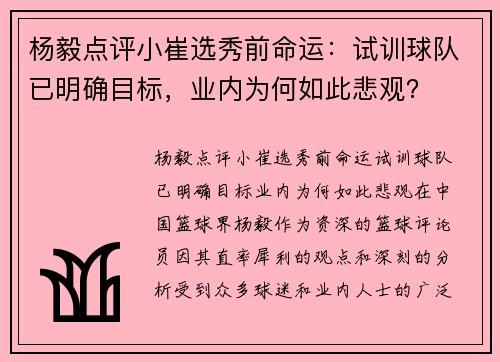 杨毅点评小崔选秀前命运：试训球队已明确目标，业内为何如此悲观？